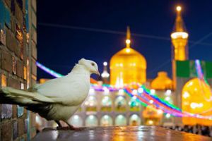 ما دوستدار شما هستیم